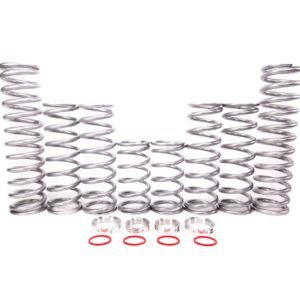 Shock Therapy Dual Rate Spring Kit